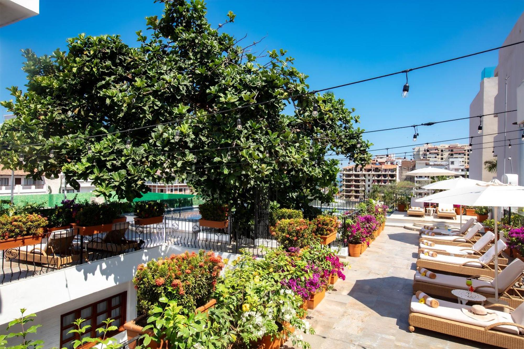 Casa Dona Susana (Adults Only) Puerto Vallarta Bagian luar foto